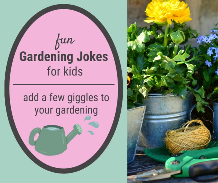Massive (and funny) collection of gardening jokes. Includes greenhouse jokes, garden puns, jokes about flowers, sunflower jokes, cacti jokes, and even some Massive (and funny) collection of gardening jokes. Includes greenhouse jokes, garden puns, jokes about flowers, sunflower jokes, cacti jokes, and even some